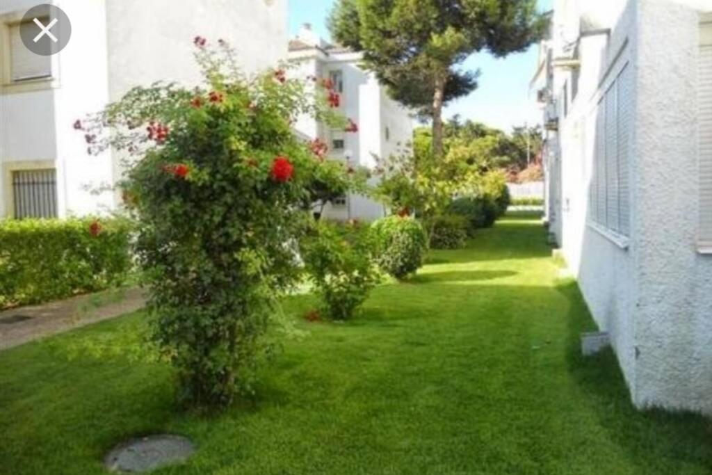 Apartament Acogedor Apartamento A 100 M. De Pinares Y Playa Rota Zewnętrze zdjęcie